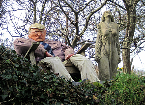 Trump sitting in a north west Herefordshire garden