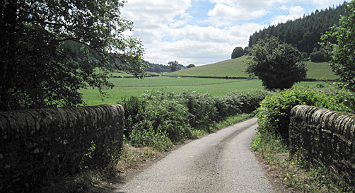 A valley in the Deerfold, Herefordshire