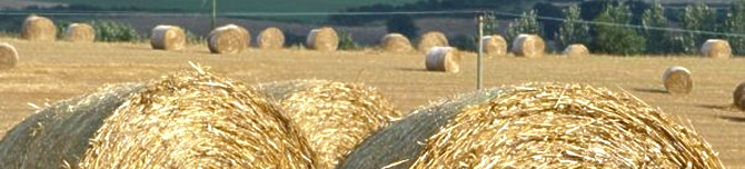 Hay bales in Herefordshire